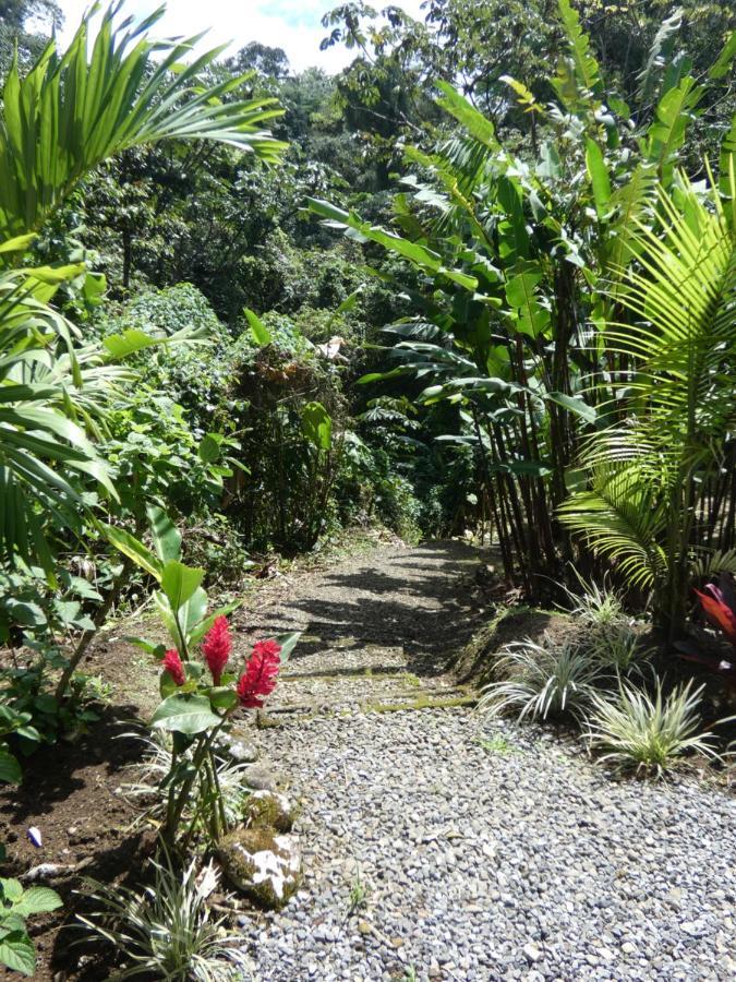 Encantada Guest House El Castillo 外观 照片